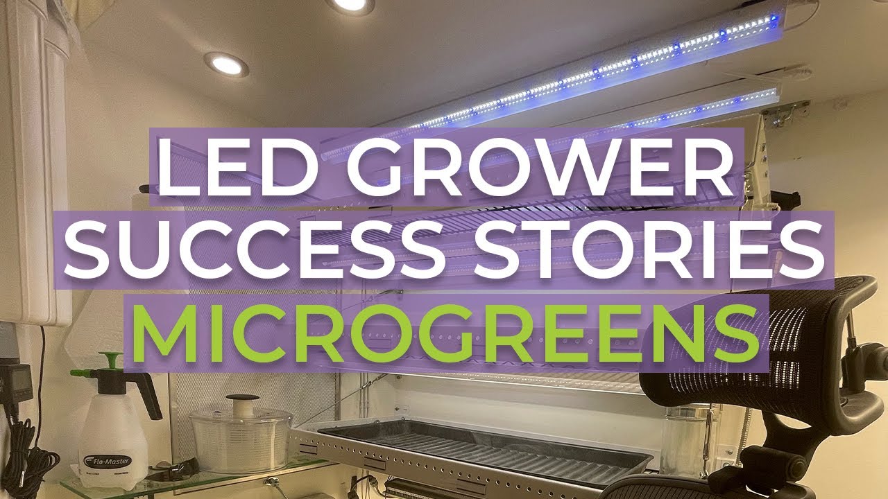 Active Grow T5 LED Grow Lights Vs. Fluorescent Shop Lights for Microgreens Grow Rack Setup