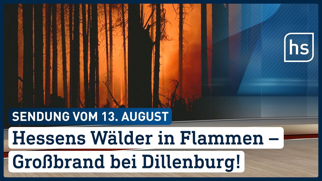 Hessens Wälder in Flammen – Großbrand bei Dillenburg! | hessenschau vom 13.08.2022