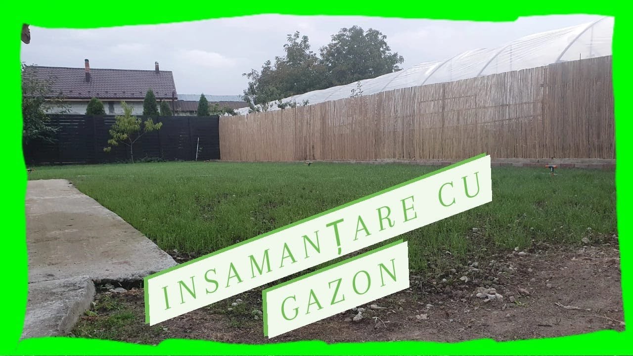 AMENAJARE GRADINA SI INSAMANTARE