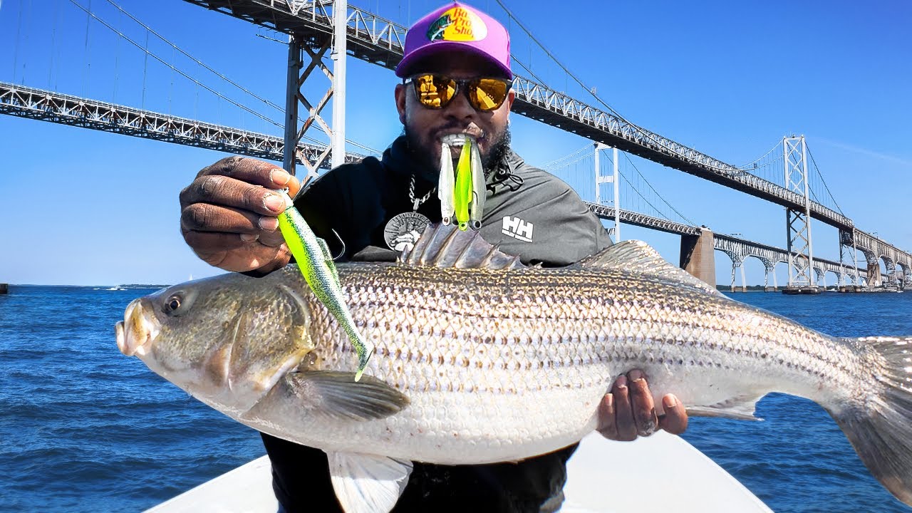 I dropped my Lure in a 70ft hole and this is what I caught! (New PB)