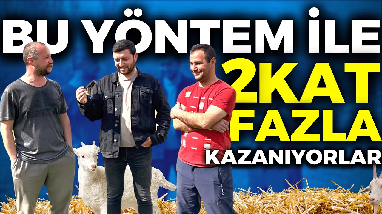 2 ÜNİVERSİTE ARKADAŞI KEÇİ ÇİFTLİĞİ KURDU ~ MİLYONLARA GEREK YOK