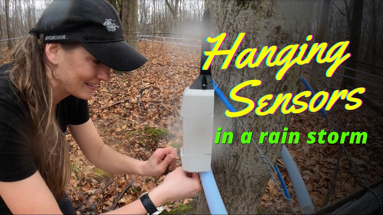 First Time Using a Maple Monitoring System