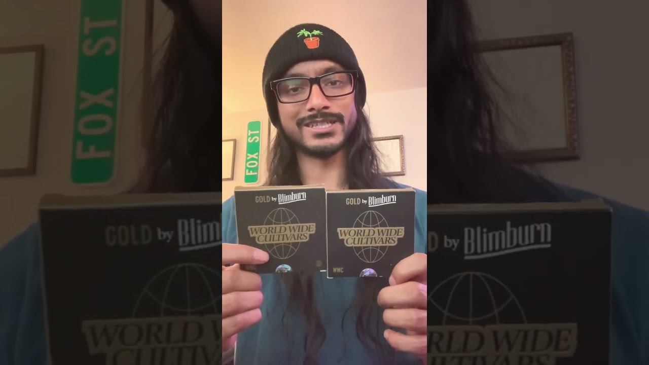 Big Dream Organics came thru with some Blimburn Seeds