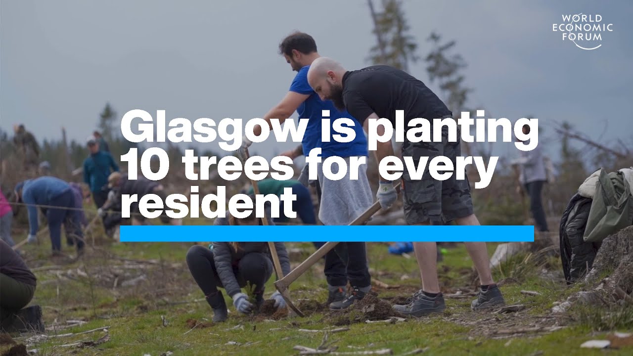 Glasgow is Planting 10 Trees for Every Resident | Green Solutions | World Economic Forum