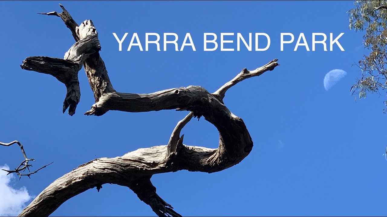 Yarra Bend Park