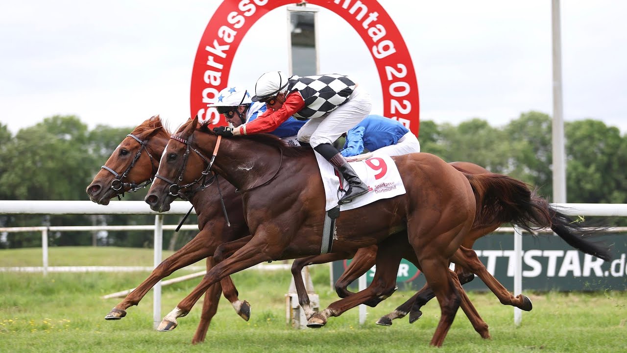 Dortmund: Grosser Preis der Sparkasse Dortmund 2025 Siegerin: Calyx Rose