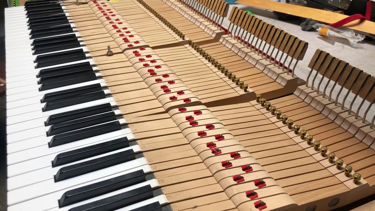 Taking out Grand Piano Keys