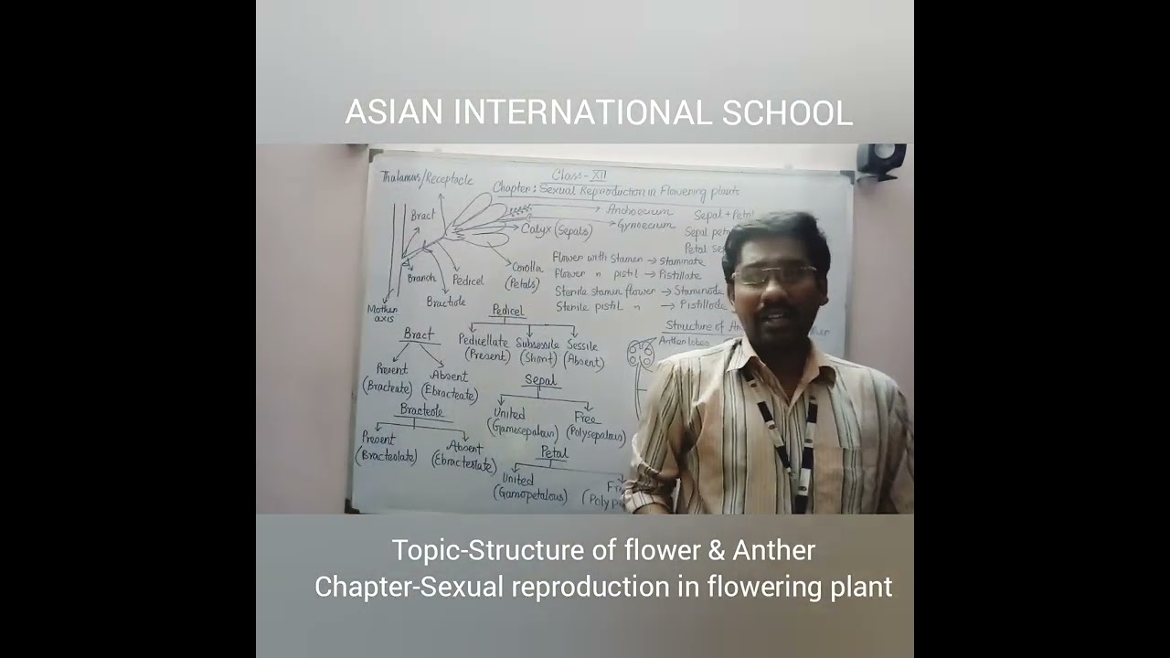STRUCTURE OF FLOWER, SEXUAL REPRODUCTION IN FLOWERING PLANTS CLAS XII BOARDS