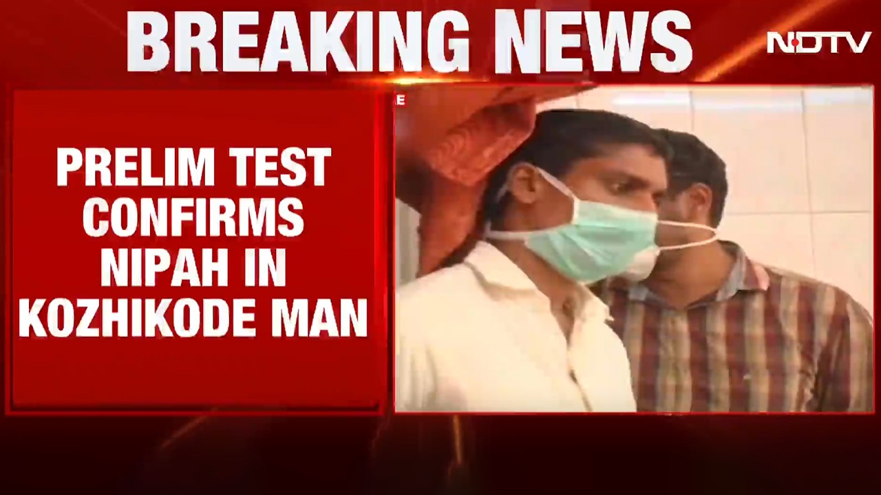 Nipah Virus Kerala LIVE Updates | Kerala Man Tests Positive For Nipah In Preliminary Screening LIVE