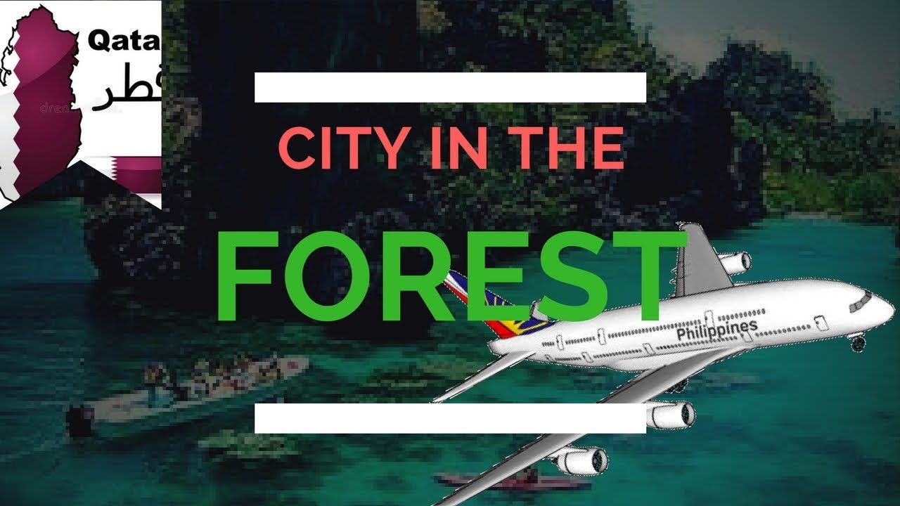 Back in the City in the Forest!