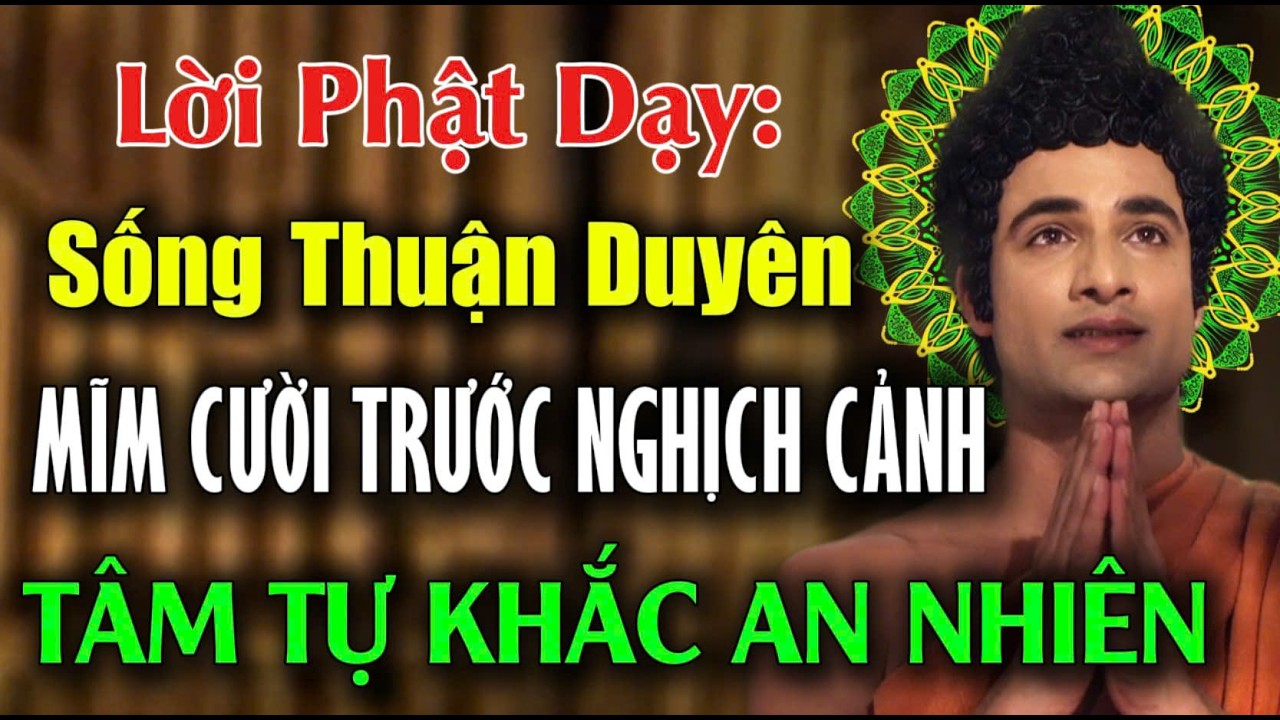 Lời Phật Dạy:Đừng Oán Trách Cuộc Đời, Sống Thuận Duyên, Tâm Tự Khắc An Nhiên