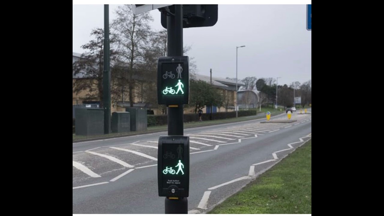 Toucan crossing 🇬🇧 theory test questions