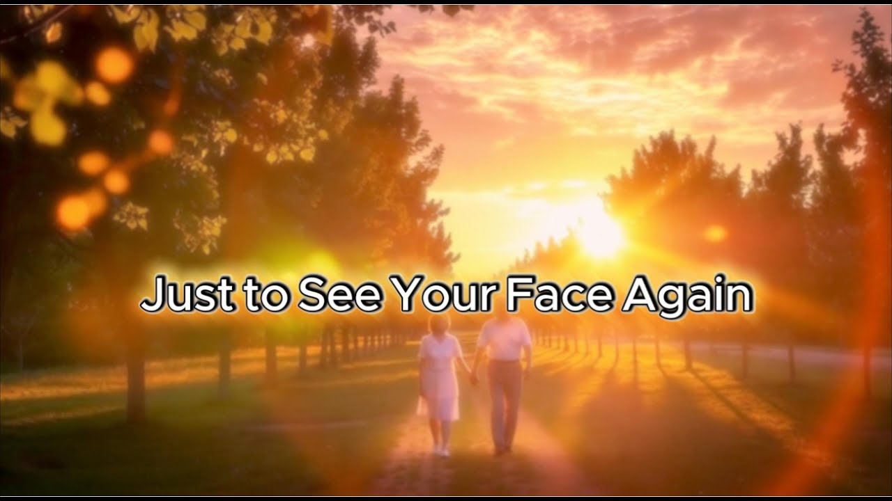 Just to See Your Face Again