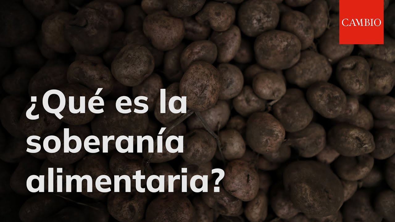 Qu&eacute; es la soberan&iacute;a alimentaria y por qu&eacute; Petro quiere garantizarla para Colombia | CAMBIO