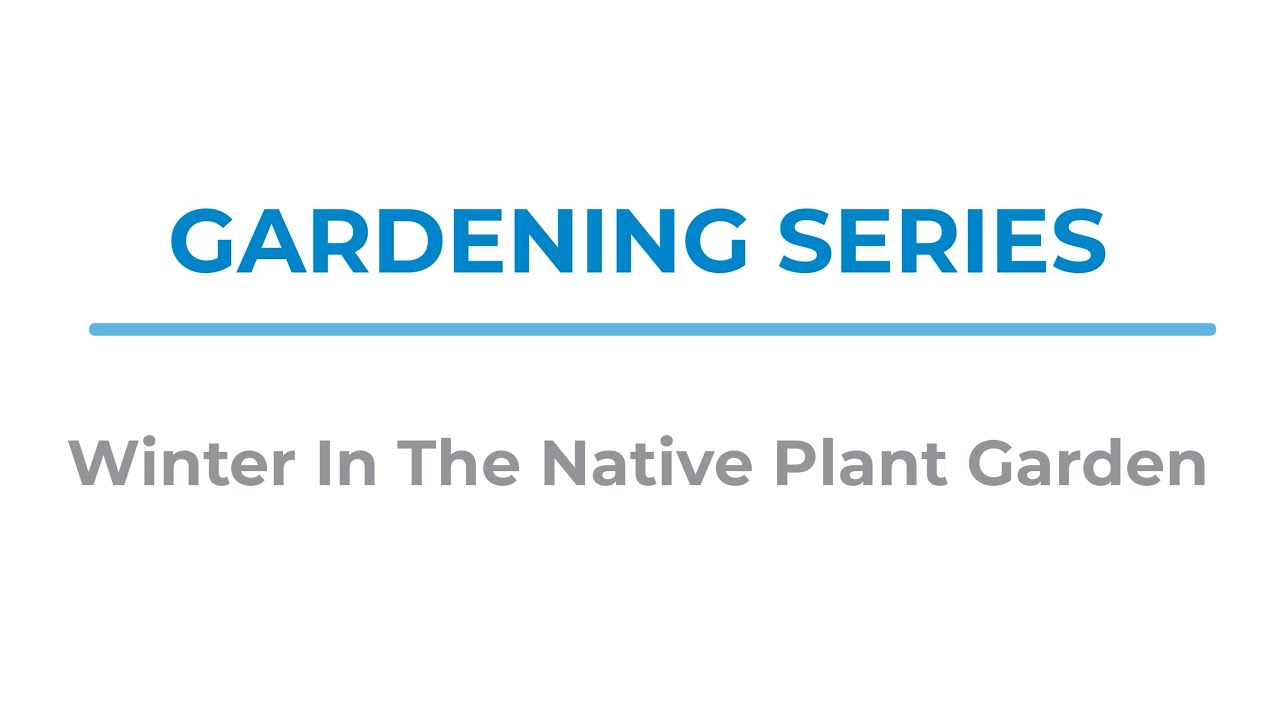 2022 Gardening Series   Winter In The Native Plant Garden