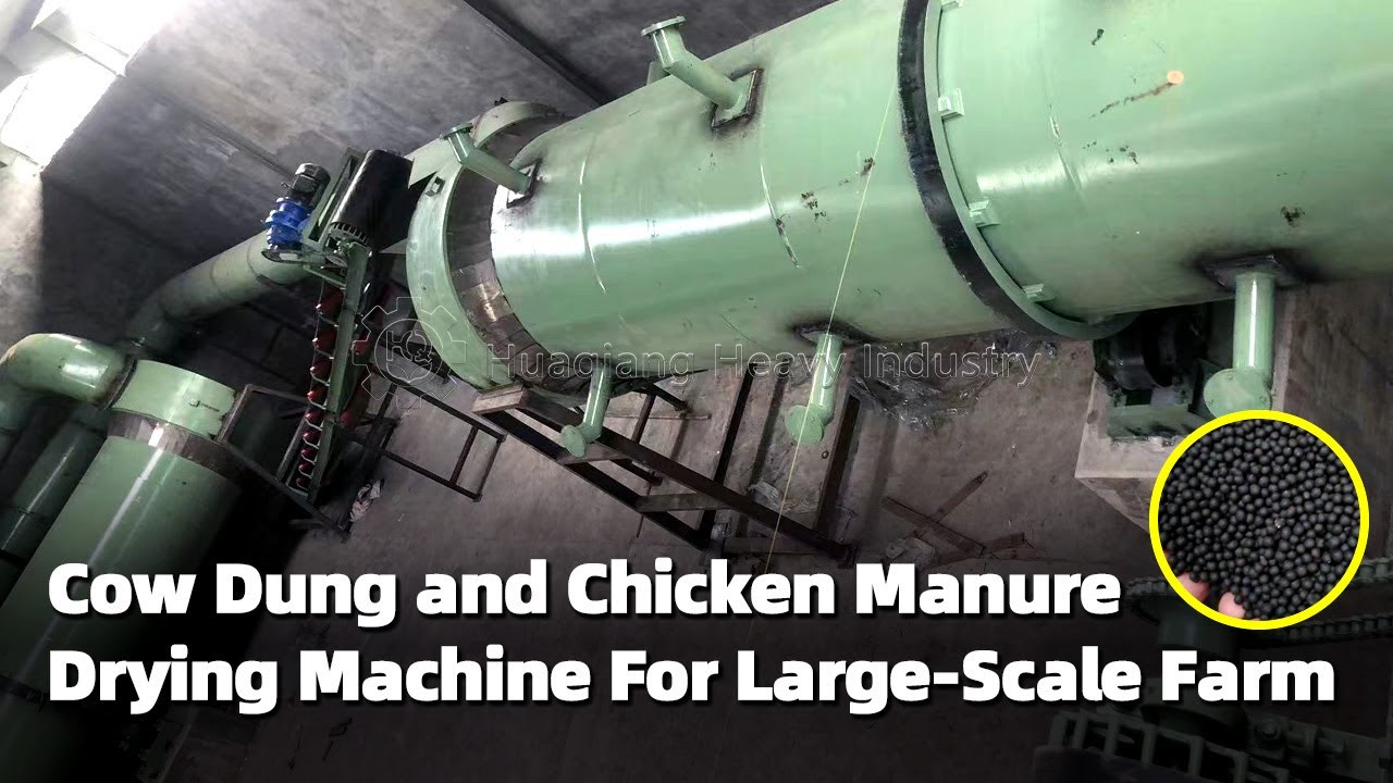 Cow Dung and Chicken Manure Drying Machine For Large-Scale Farm. Fertilizer Rotary Dryer Machine