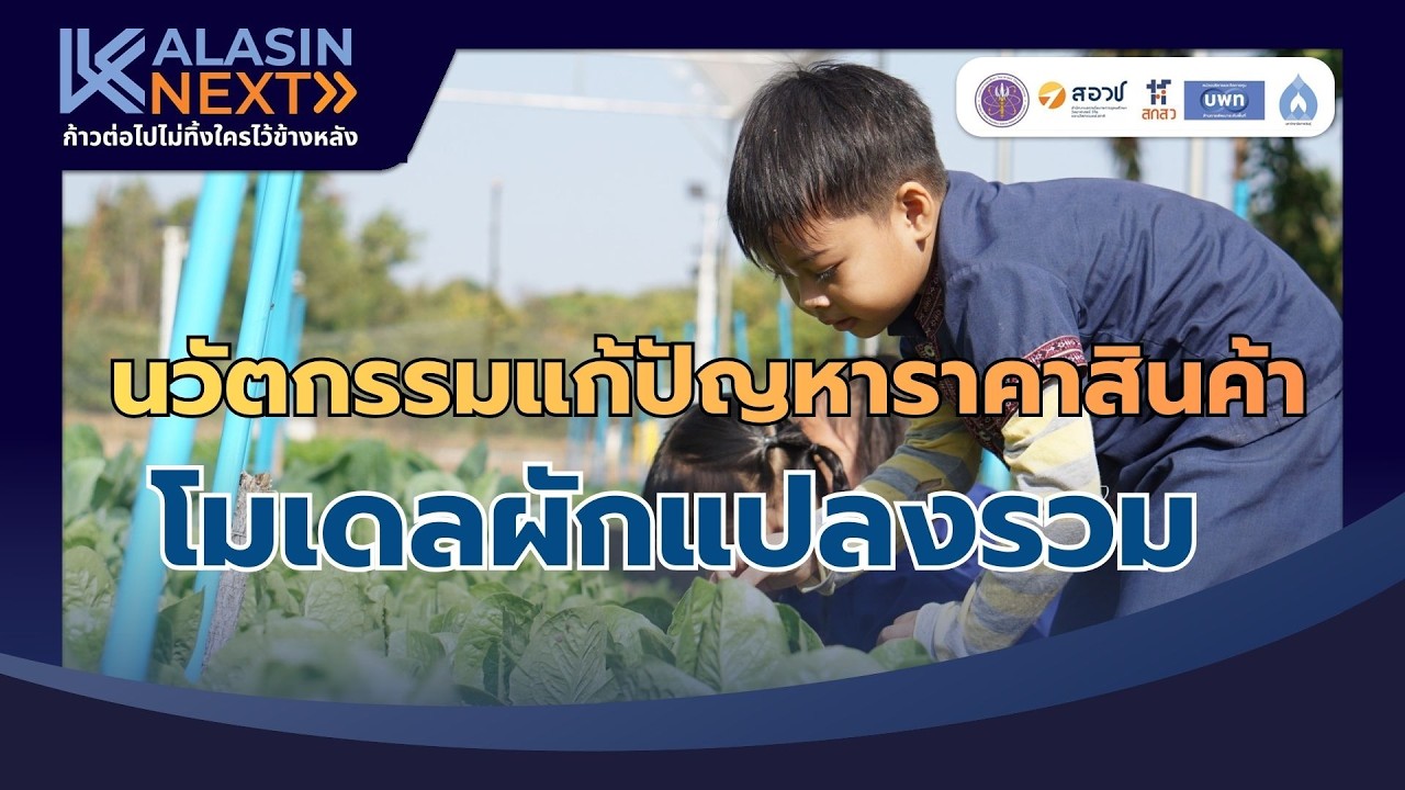 โมเดลยกระดับอาชีพ ปลูกผักแก้จน