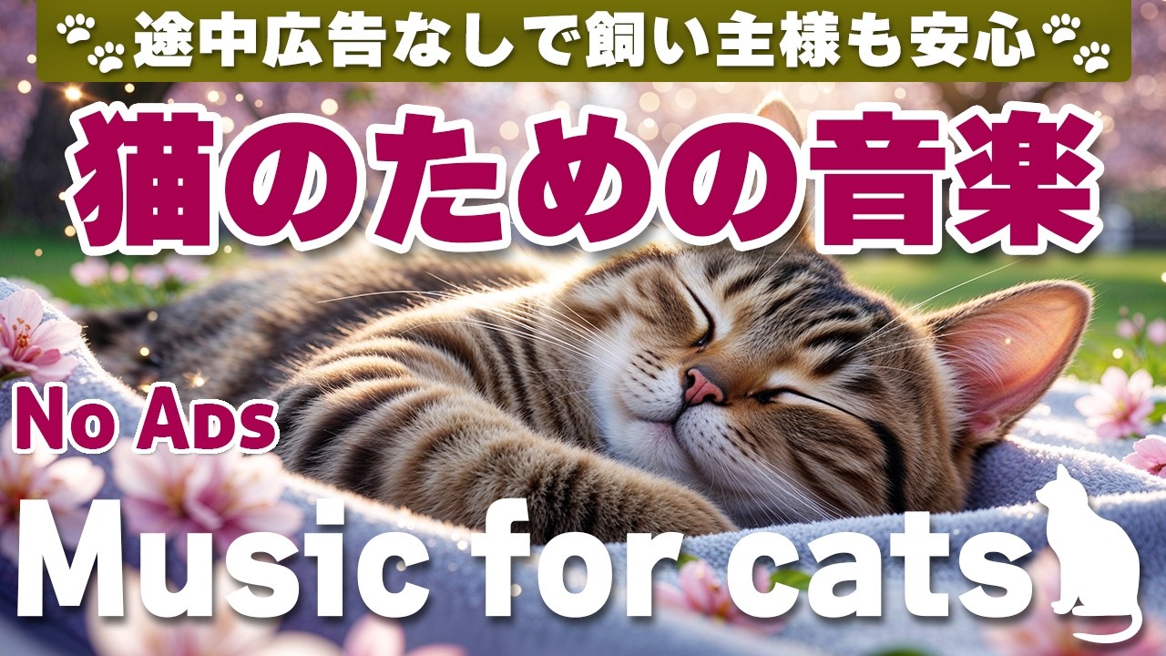 猫が落ち着く音楽｜留守番中も安心できるBGM（12時間・途中広告なし）Relaxing Music for Cats | No Ads | 12 Hours _vol.359