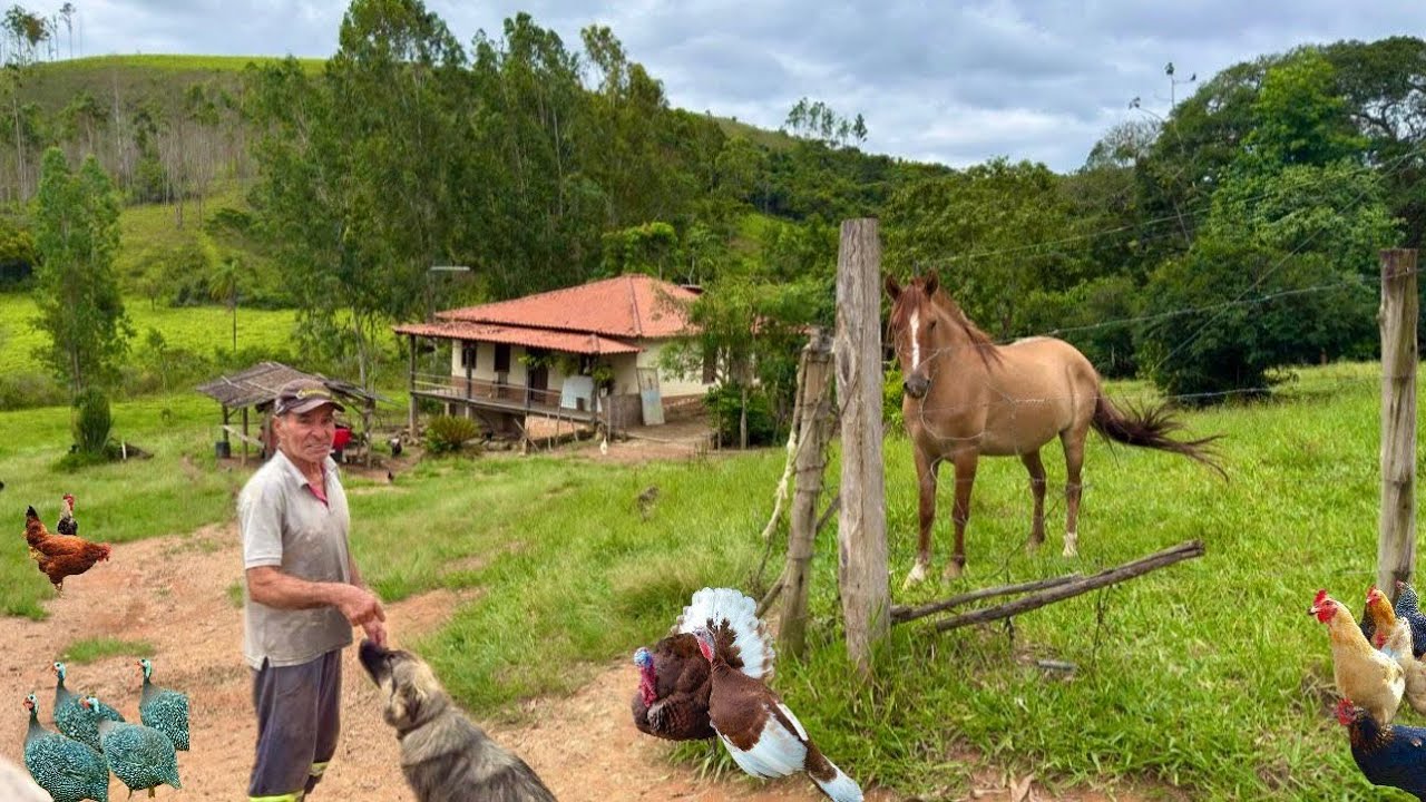 Sítio a venda de porteira fechada com 120 litros de leite dia aceita carro ou casa MG