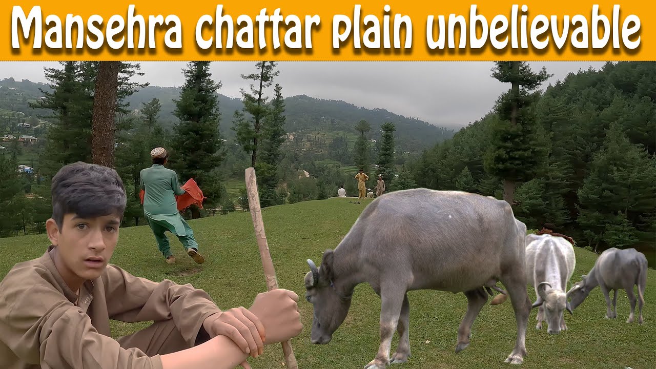 Mansehra Chattar Plain Most Beautiful Place of Pakistan