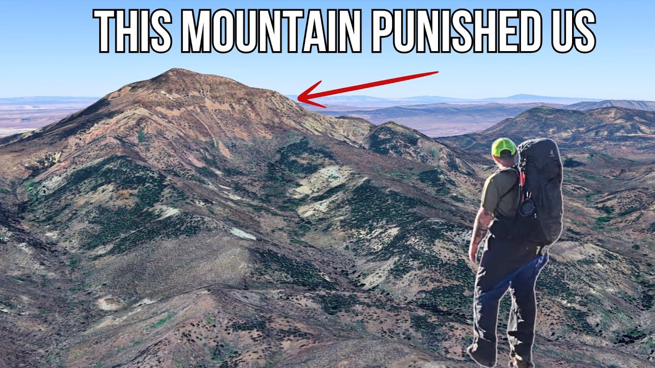 Summit Abort - This Mountain Punished Us