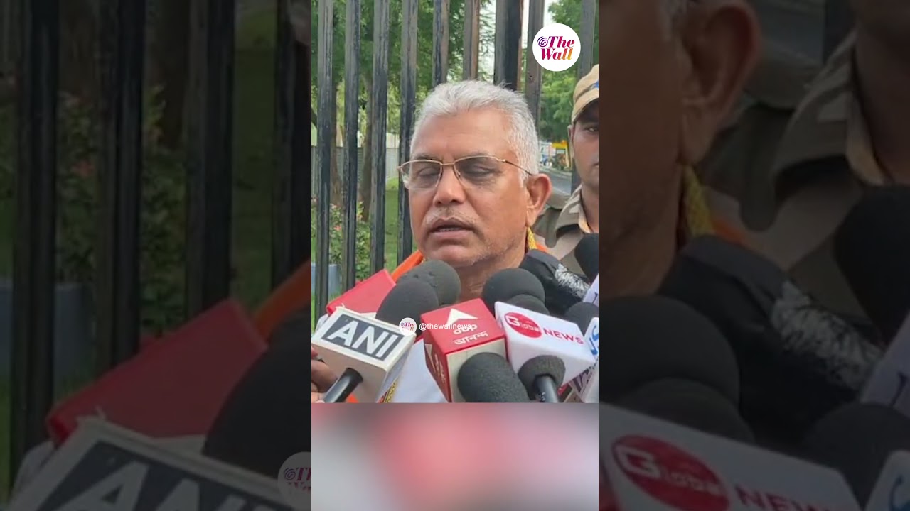 &lsquo;তৃণমূলে সবার ক্ষোভ ছোটবাবুর বিরুদ্ধে&rsquo; #DilipGhosh #BJPNEWS #shorts