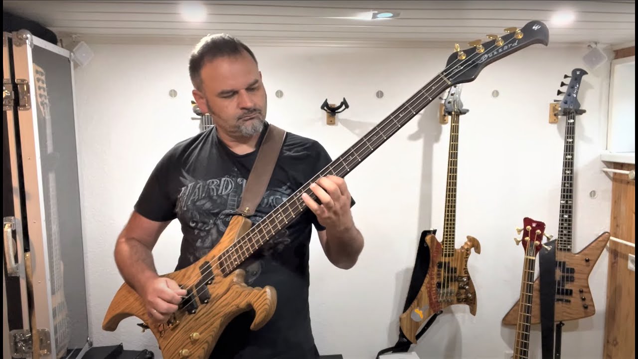 Warwick Buzzard bass - should I really buy one?