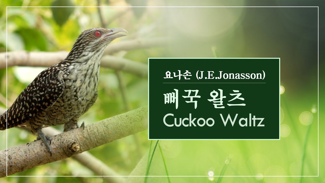 뻐꾹 왈츠 / Cuckoo Waltz - 요나손(Jonasson)