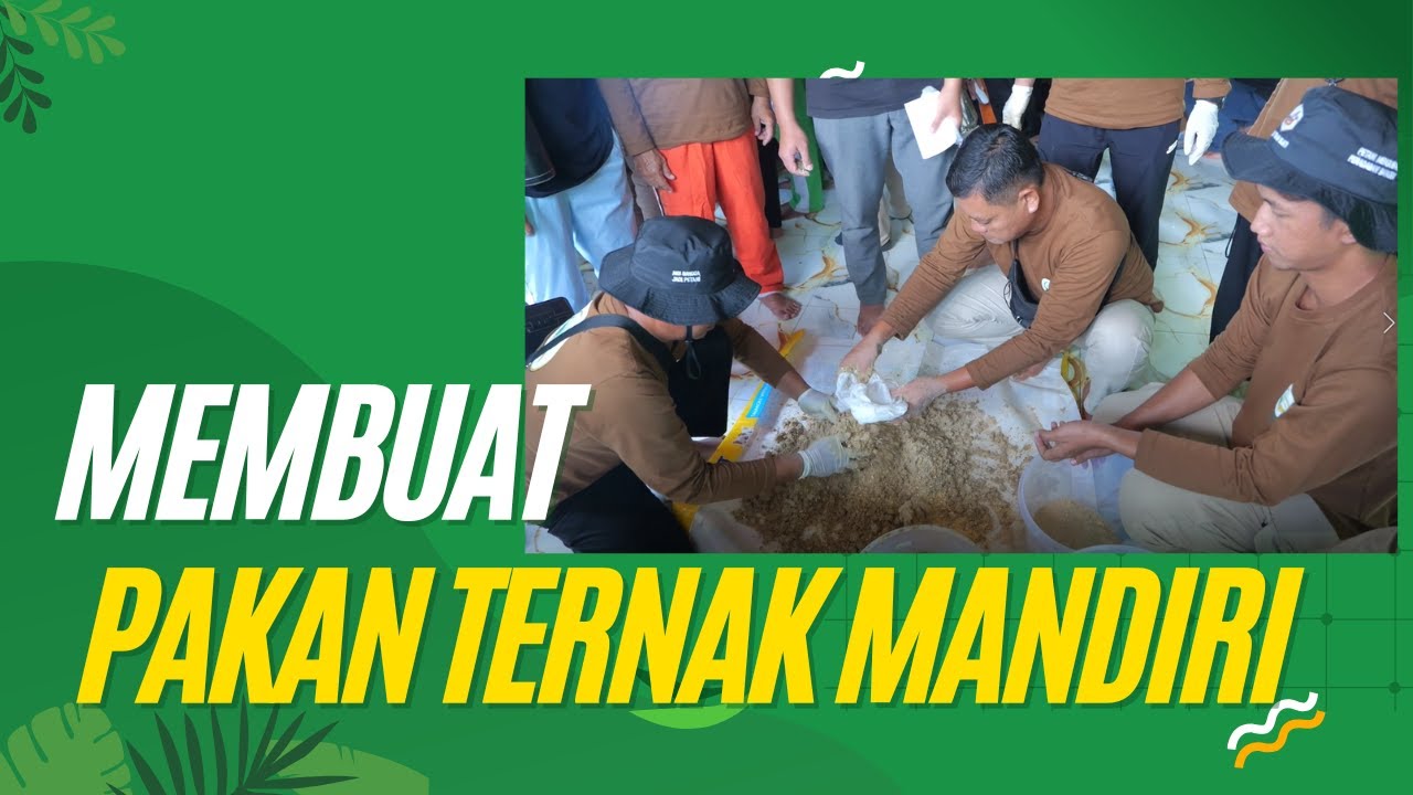 Membuat Pakan Ternak Mandiri