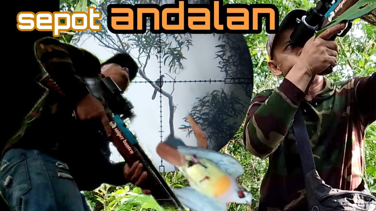 BERBURU.!! PUNAI DAN TEKUKUR, DI SEPOT ANDALAN. 