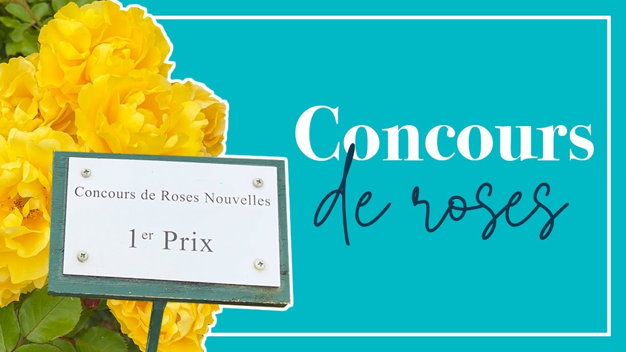 Curieux mais sans invitation? Découvrez les coulisses du concours des plus belles roses (Bagatelle)!