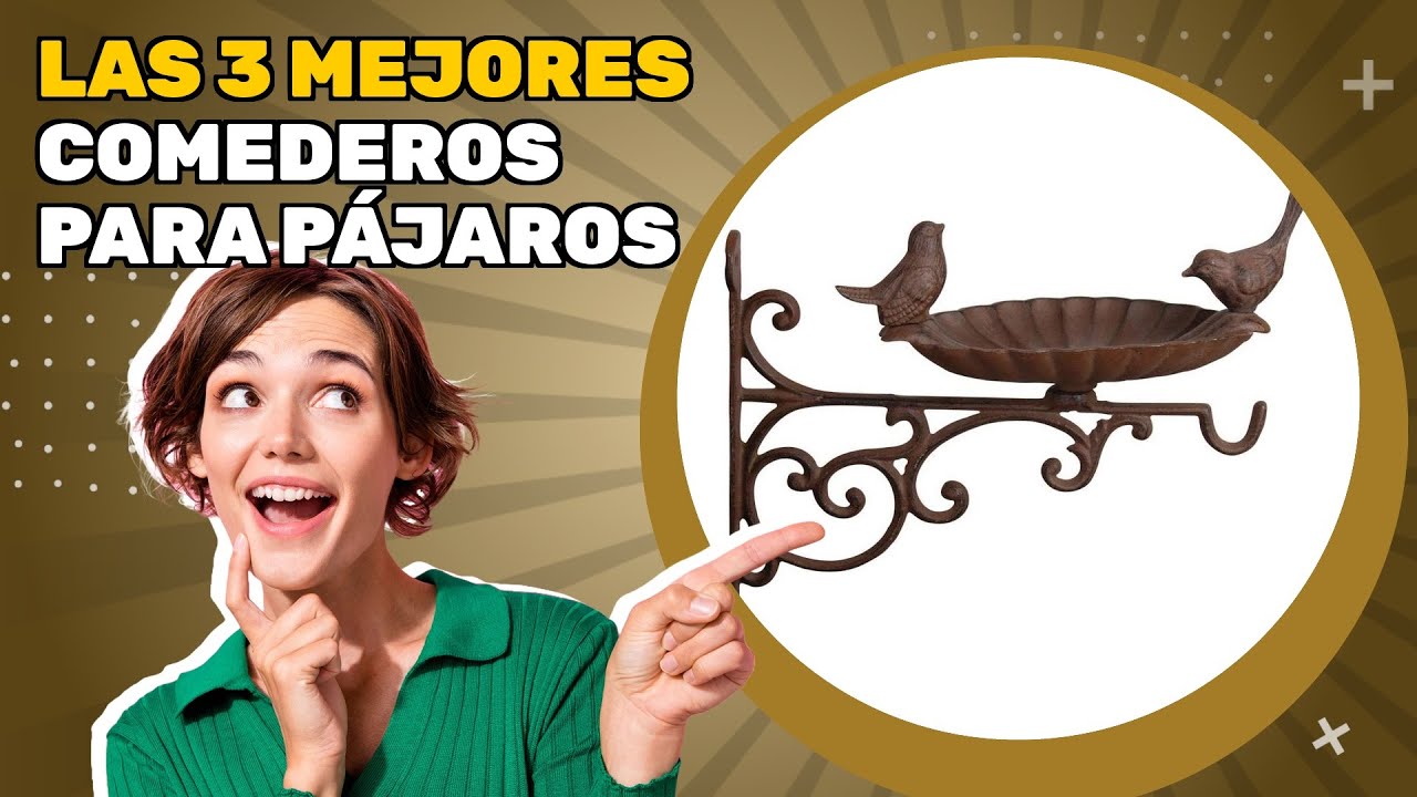 Las 3 mejores comederos para pájaros 2025: comparación y reseña rápida