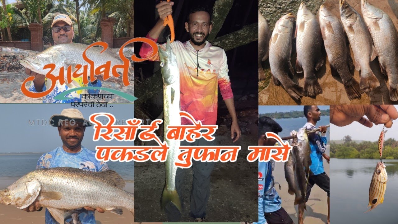 भोगवे मधील तुफान बारामुंडी फिशिंग || Malvan devbag Barramundi fishing @cast_master