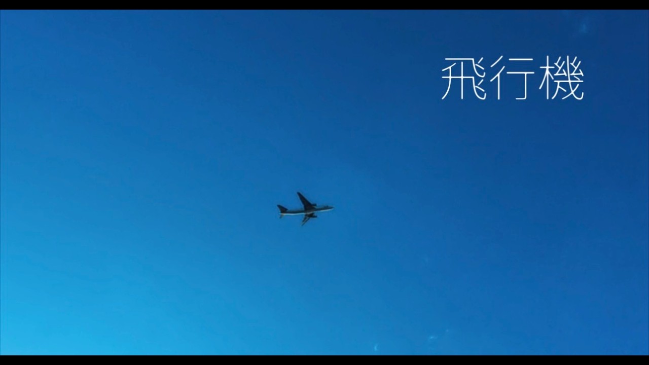 【飛行機リベンジ】京浜島つばさ公園 VLOG