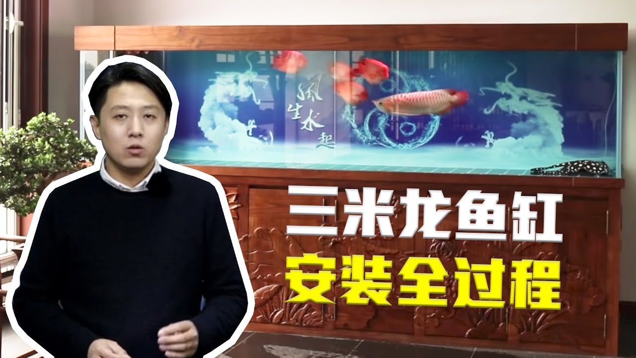 【亮哥养鱼】水族爱好者梦寐以求的鱼缸，实拍三米龙鱼缸安装全过程，迁移注意事项太有用！