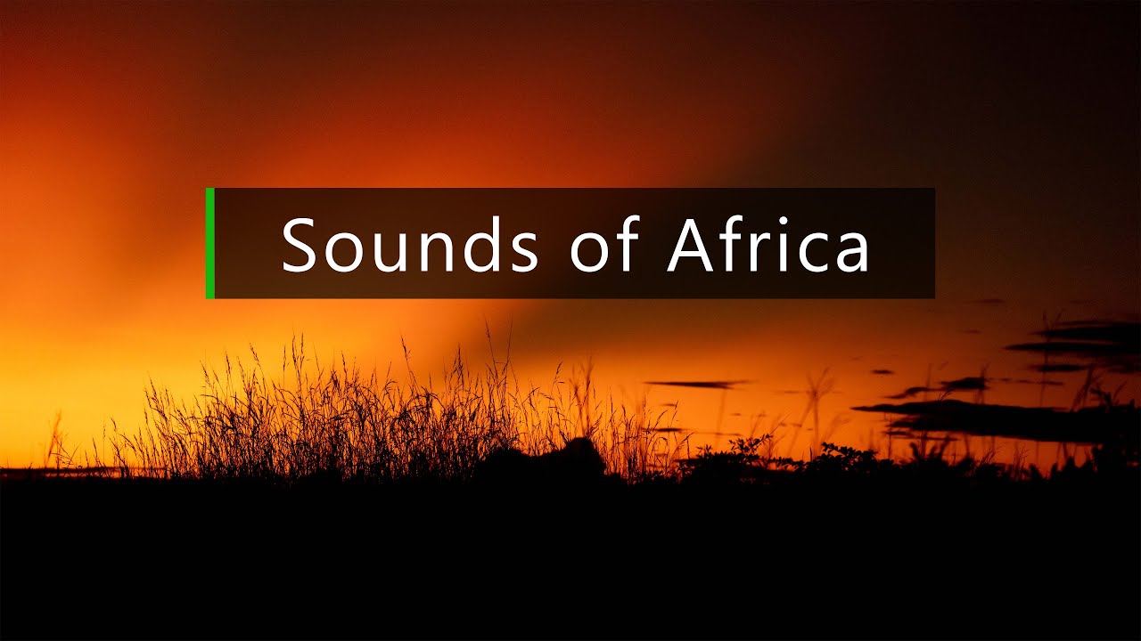 Nature and wildlife sounds - Dusk in the African bush