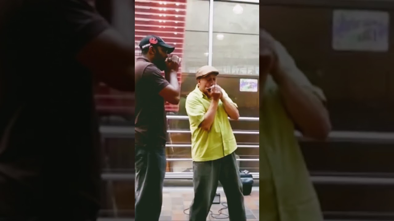 Brief Impromptu Harp Jam at Alewife T Station Years Ago. 🎶