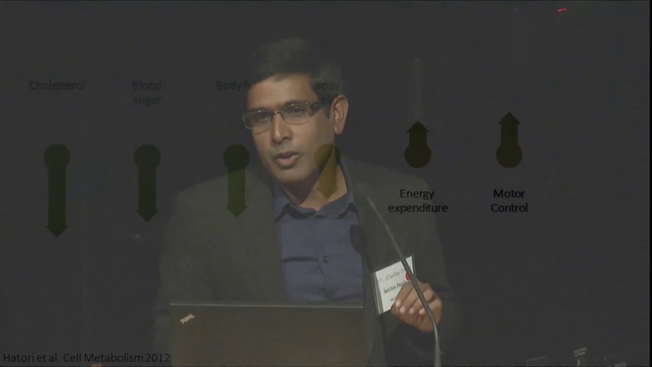 ILSI NA: Circadian Rhythm as it Relates to Overall Health, Wellness, and...  (Satchin Panda)