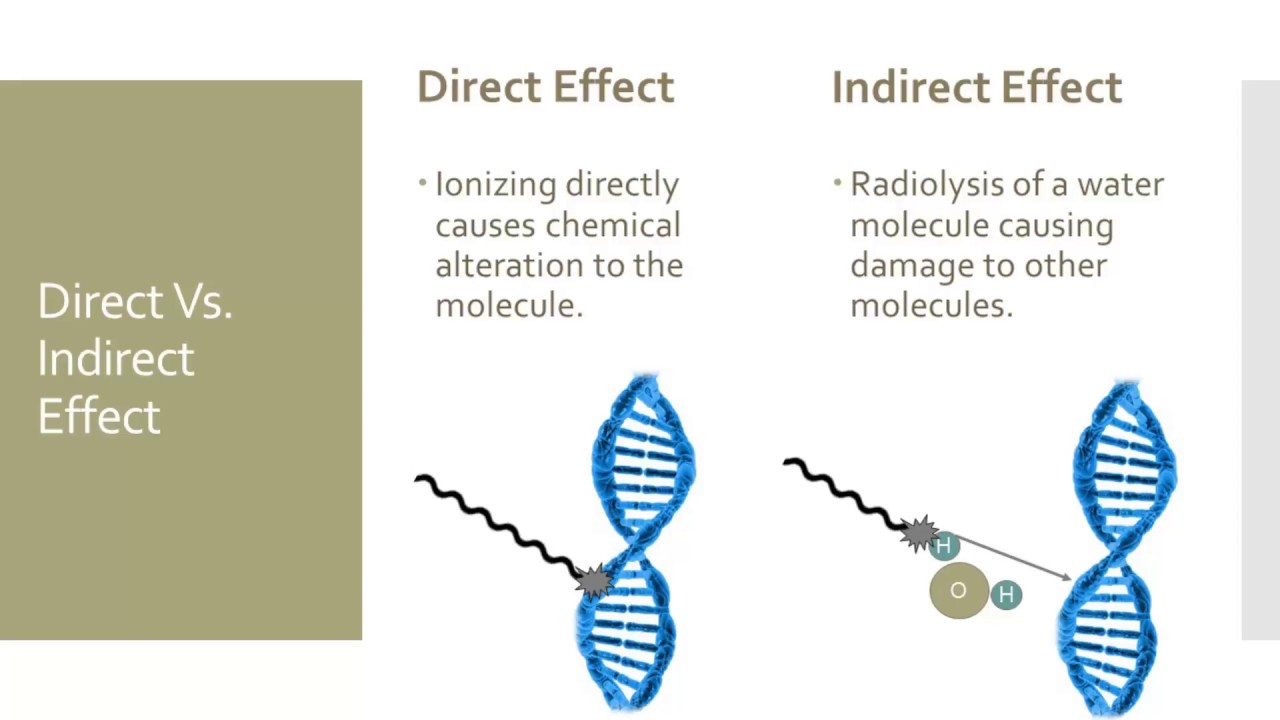 Effects of Radiation on Cells