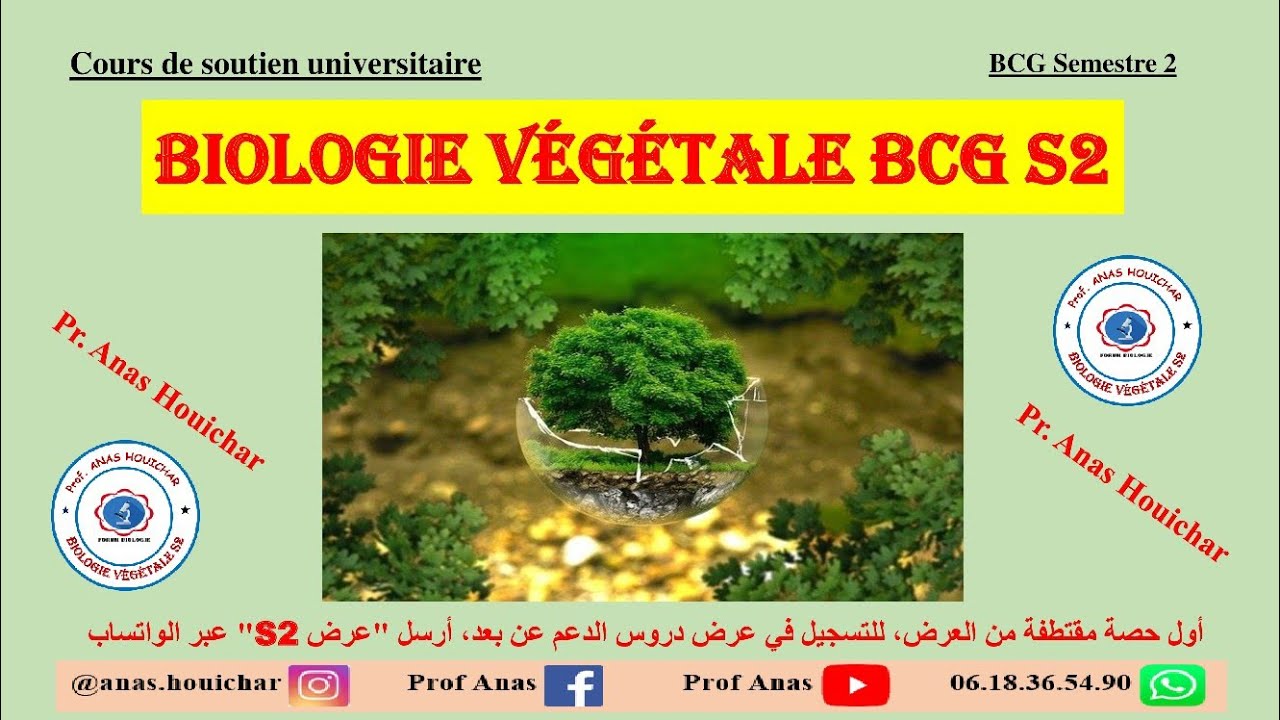 Biologie Végétale BCG S2 / Chapitre I : Introduction à la Botanique شرح بالدارجة