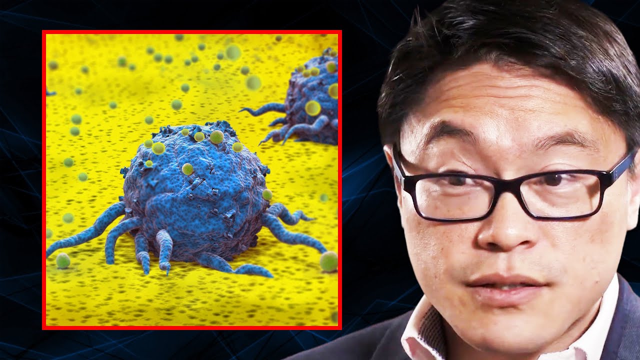 The HUGE RISK FACTOR for Cancer Nobody Talks About! (YOU CAN FIX IT) | Dr. Jason Fung