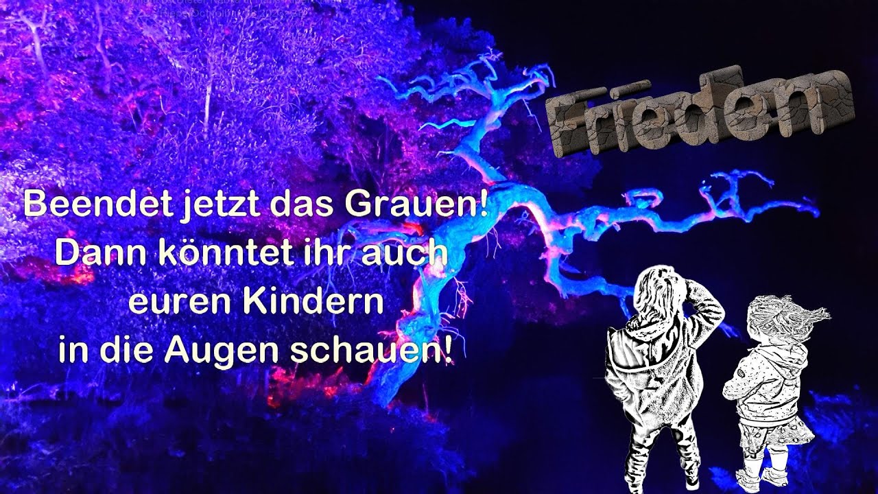 Ich würd gern ein Lied für Frieden schreiben - Die Ganter