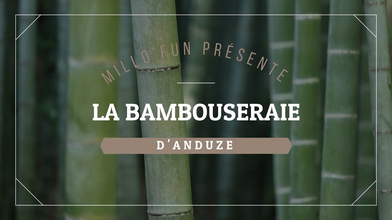 La Bambouseraie d'Anduze 2019