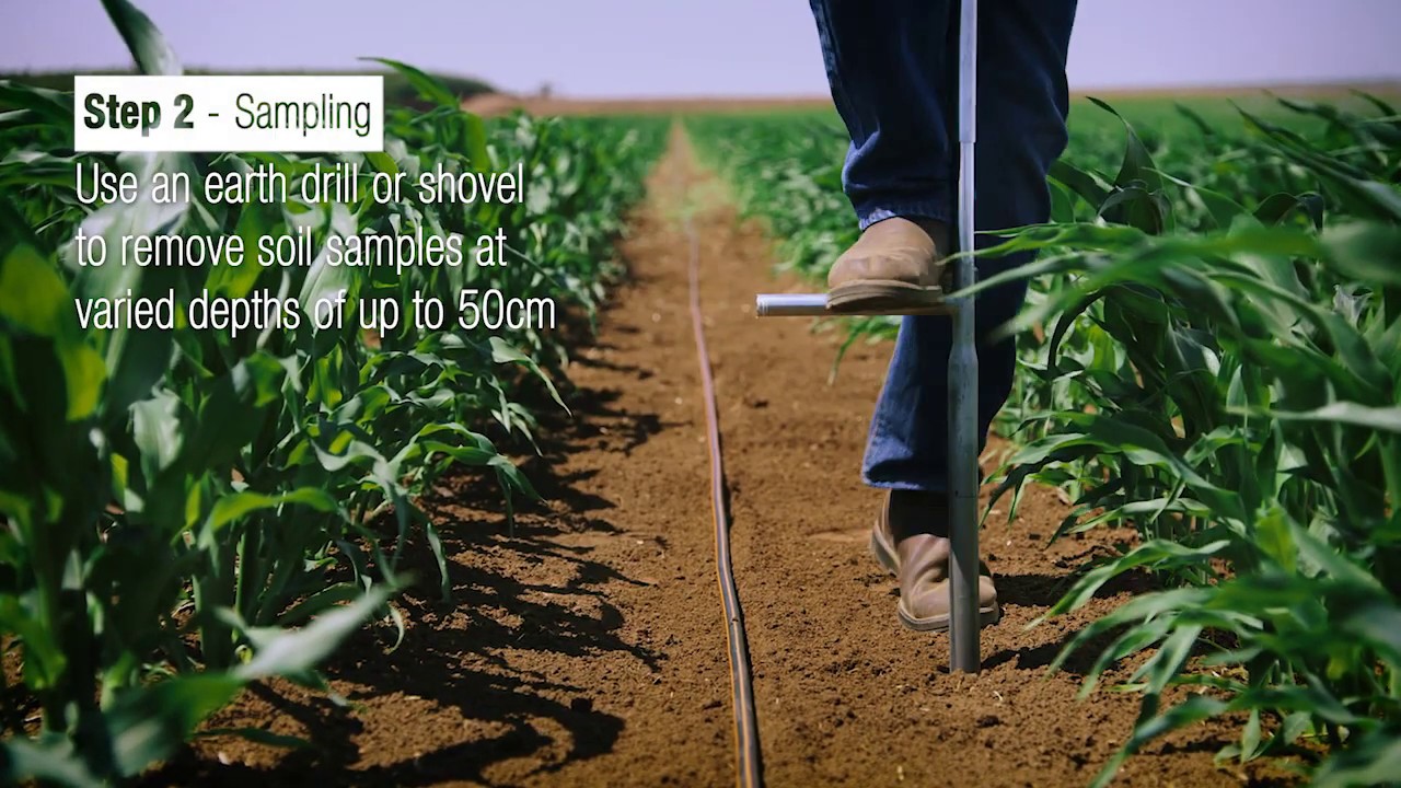 Soil Moisture monitoring |  Netafim