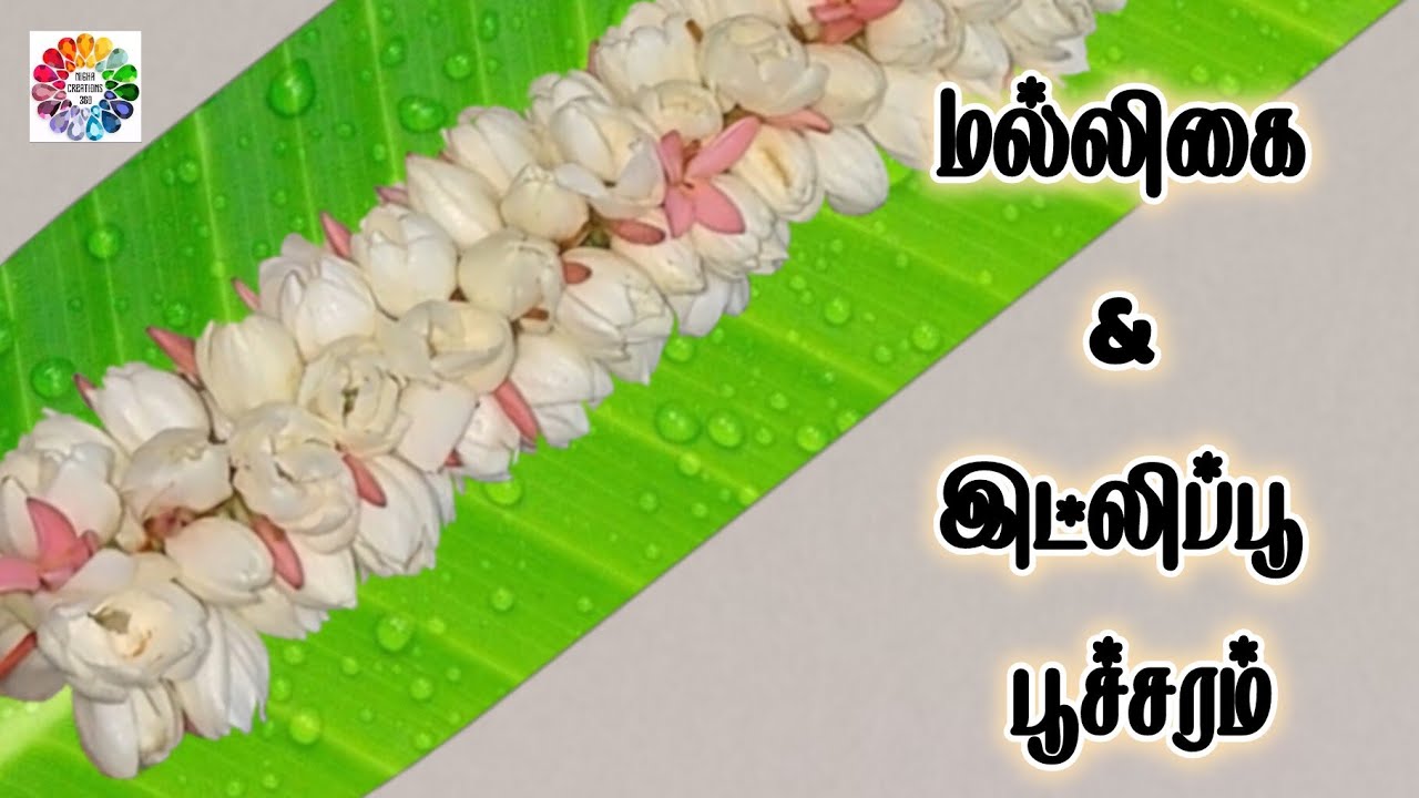 மல்லிகை & இட்லிப்பூ மொட்டு பூச்சரம்🤍🩷#diy #mallipoo #malligai ##idlypoo #ixora #trending #viral