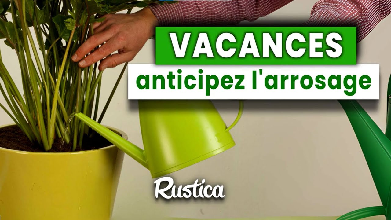 Vacances, anticipez les arrosages de vos plantes vertes