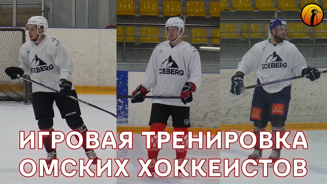 Двусторонка игроков КХЛ и ВХЛ | Омск | Мищенко, Мозер, Костин, Минеев и др. | Без комментариев