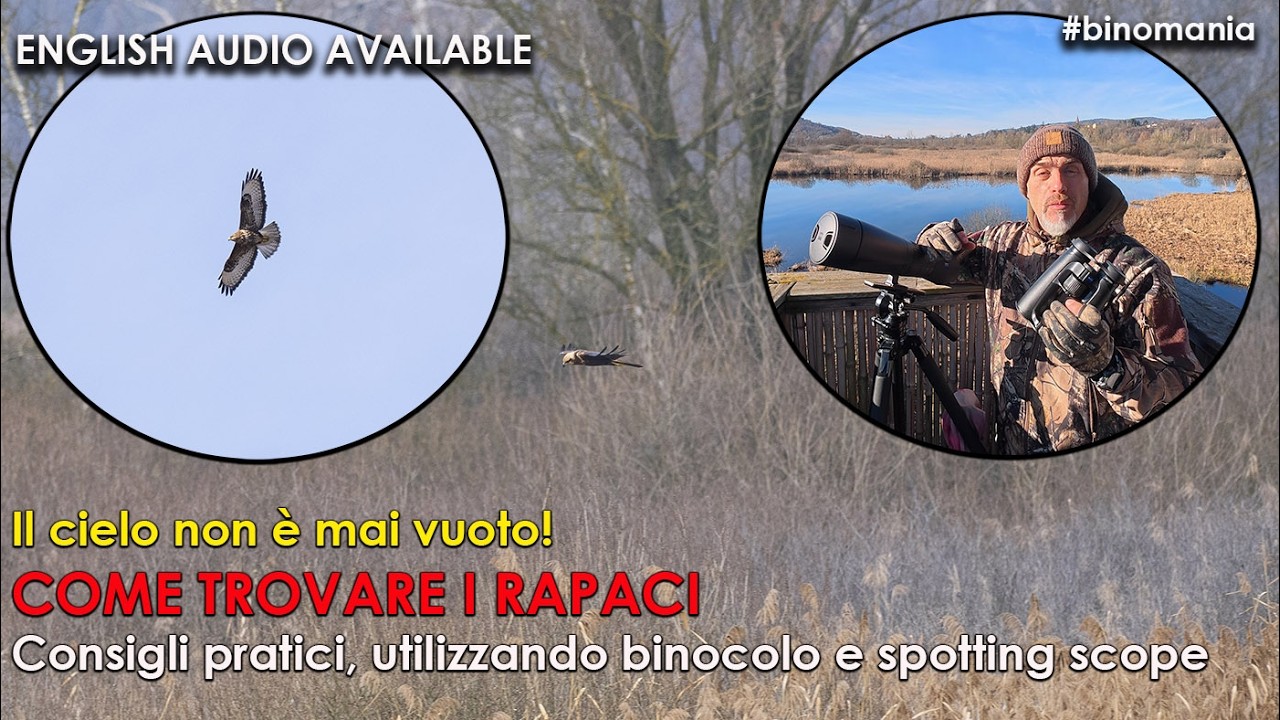 Come trovare i rapaci anche quando il cielo sembra vuoto