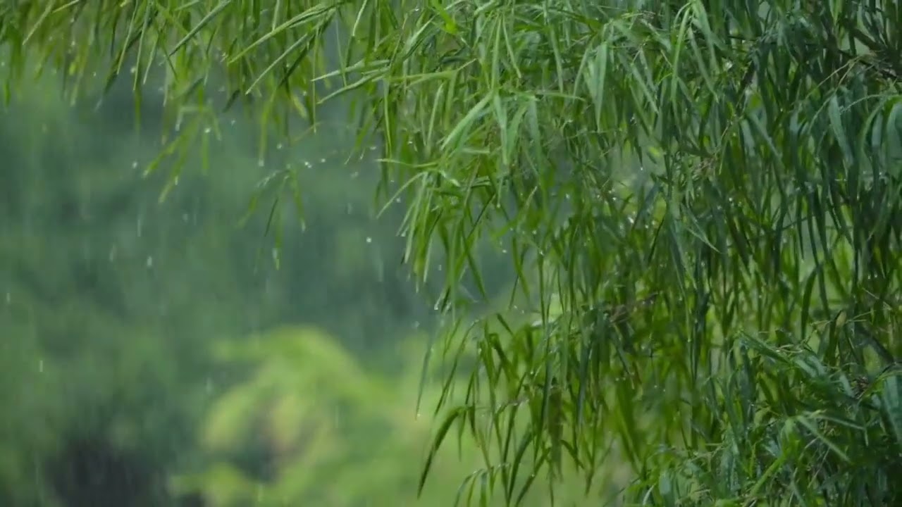 ✅ 4 Hours of Soothing Rain Sounds for Deep Sleep & Relaxation