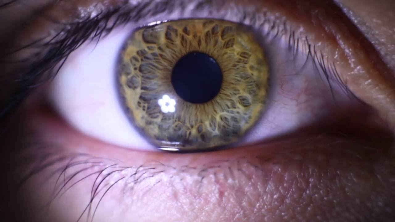 &uml;LO QUE EL OJO NO VE&uml; Documentales  interesantes de History channel en espa&ntilde;ol
